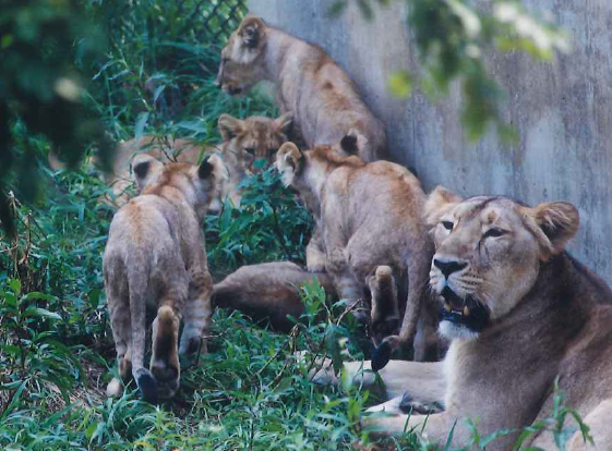 family2000Aug (1).png