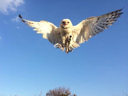 なんで そーなるの 飼育日誌 よこはま動物園ズーラシア公式サイト 公益財団法人 横浜市緑の協会