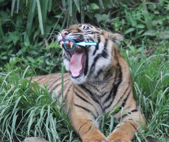 IMG_1912 - コピー.jpg