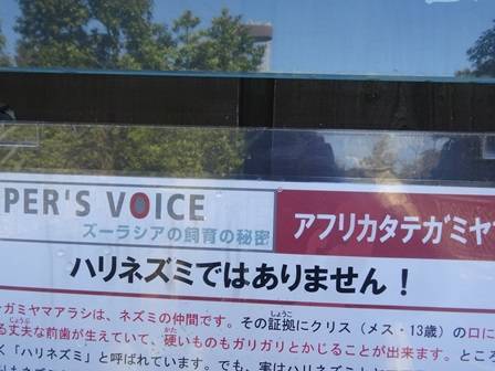 ③ (2).jpg