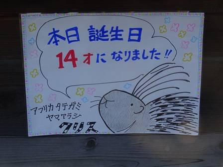 ② (3).jpg